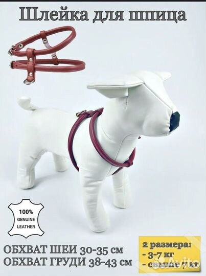 Шлейка для собаки