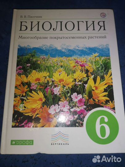 Учебники 6 класс