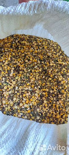 Горох отходы