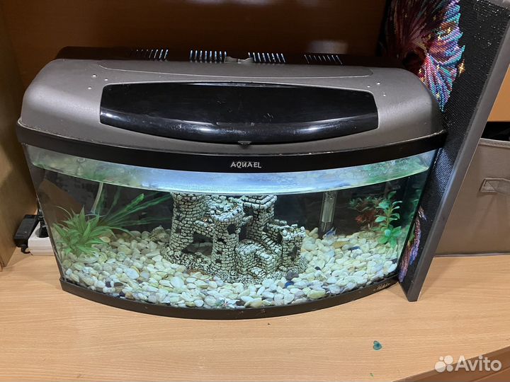 Аквариум