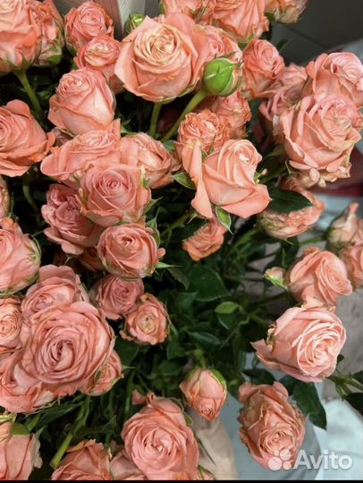 Букет сегодня