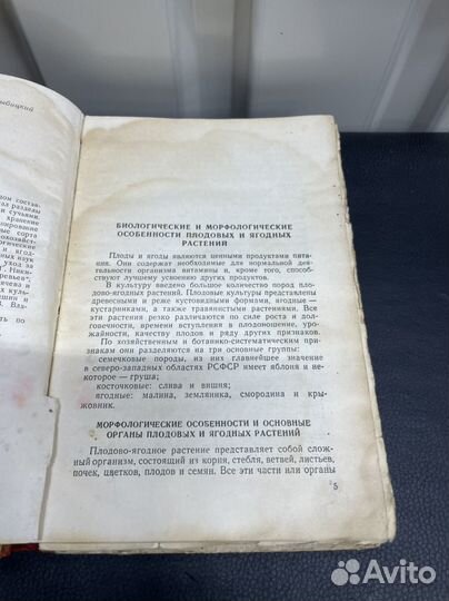 Книга Плодовый ягодный сад 1960г