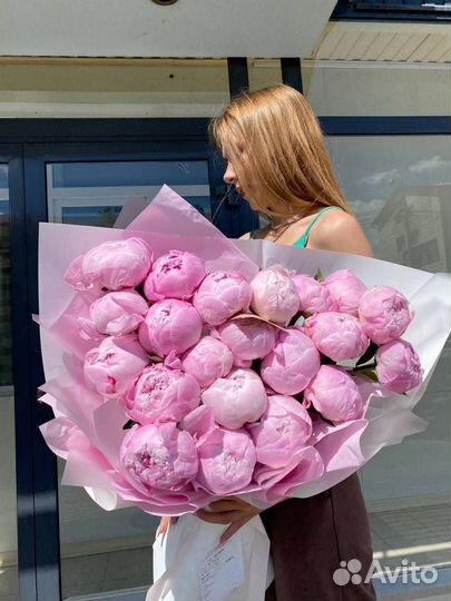 Пионы крупные