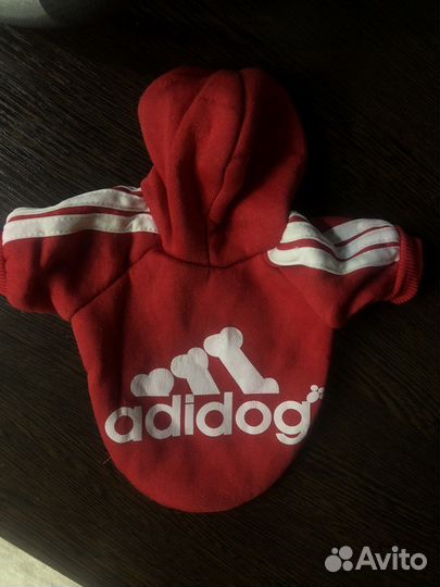 Одежда для собак