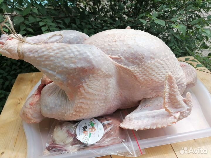 Индюки хайбрид конвертер (тушка)