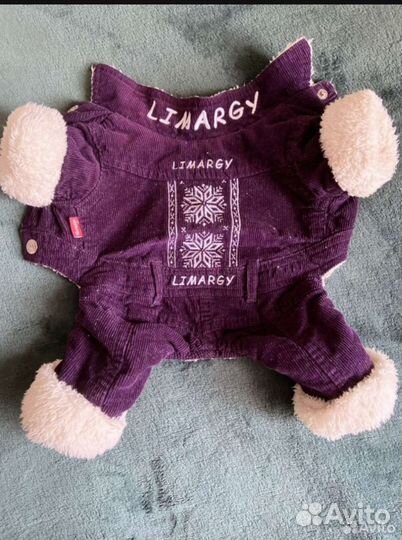 Одежда для собак