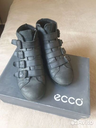 Ботинки ecco 37