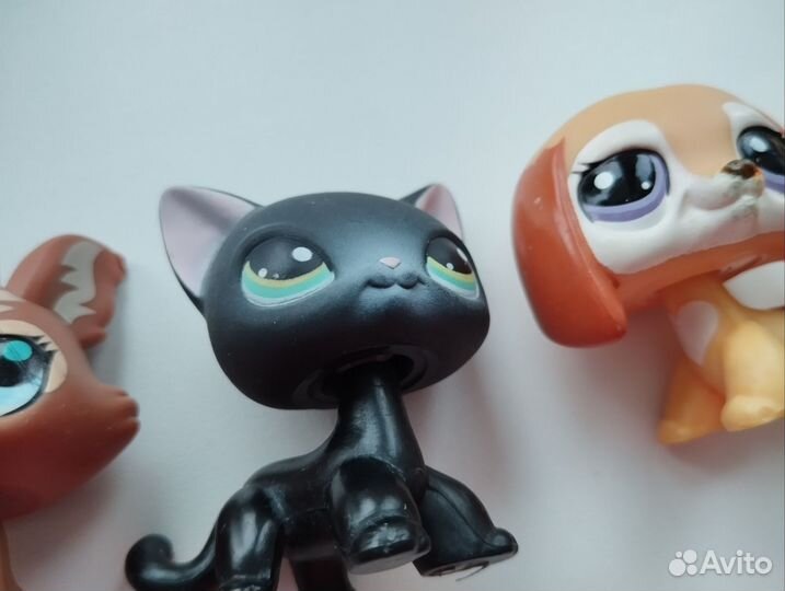 Littlest Pet Shop