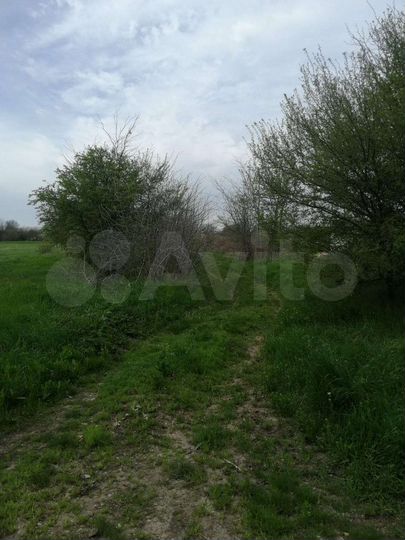 Участок 26,7 сот. (ИЖС)