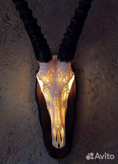 Череп резной блэсбок