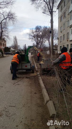 Благоустройство территории