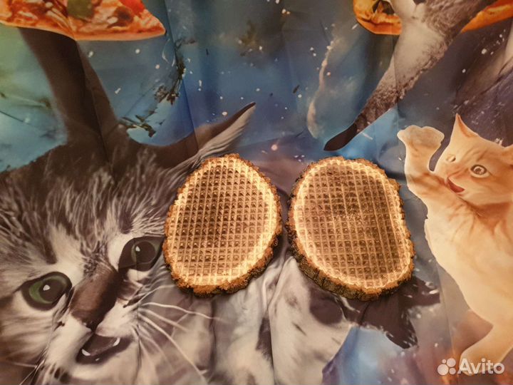 Гвозди детские неострые. Доска садху