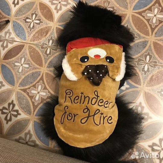 Одежда для маленьких собак (XS-S)