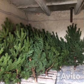 Новогодняя елка в Арарат Хайят