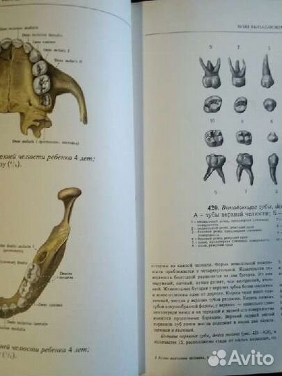 Медицинский атлас