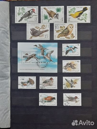 Коллекция почтовых марок 