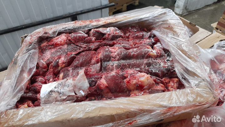 Мясо говядины на корм животным