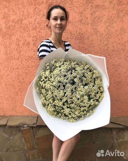 Ромашки букет