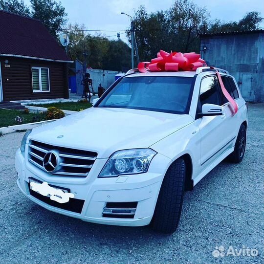 Большой Бант на машину