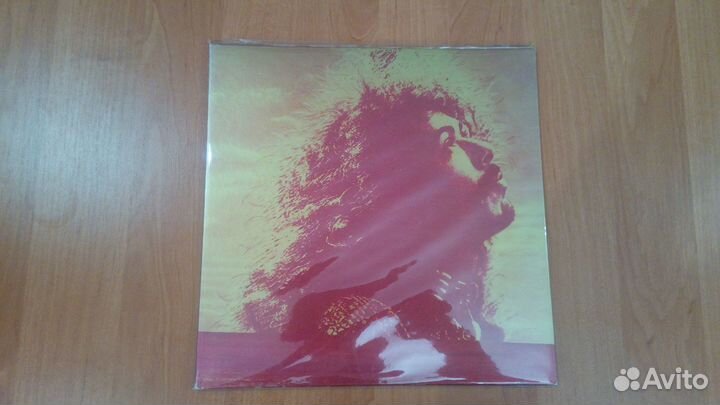 Виниловые пластинки-8