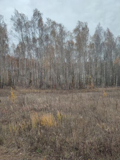 Участок 6 сот. (ИЖС)