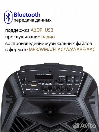 Портативная аудиосистема National NSM-V100, черный