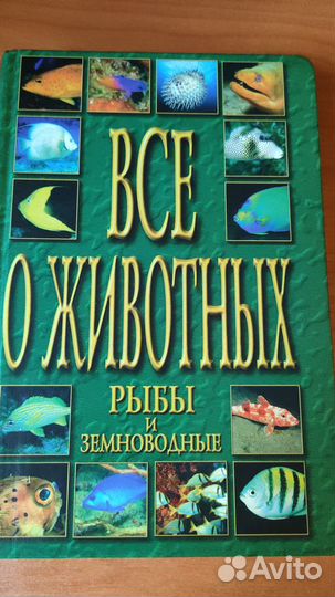 Рыбы и земноводные