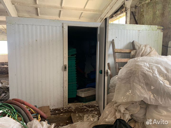 Холодильный контейнер