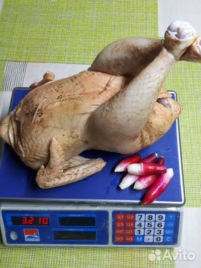 Мясо птицы Куры суповые Цыплята бройлер Тушенка