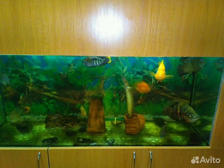 Аквариумный комплекс