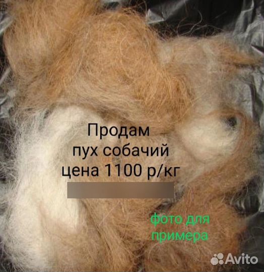 Продам пух собачий