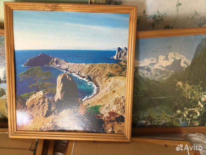 Картины разные, море лес