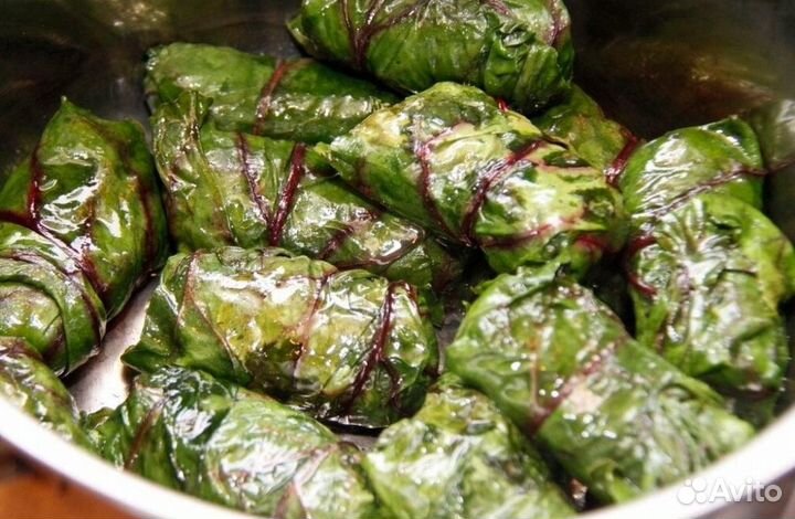 Мангольд, семена, 30 шт