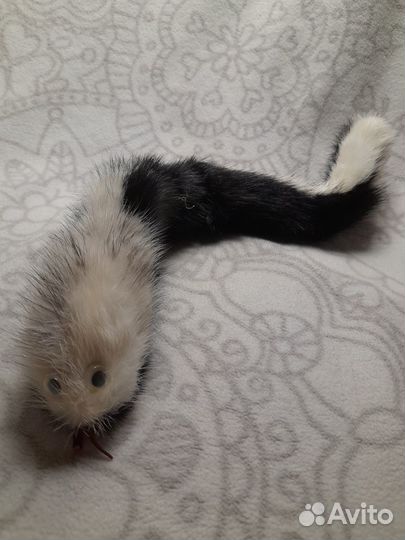 Мягкие игрушки из натурального меха