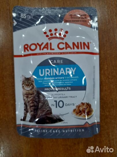 Влажный корм для кошек royal canin