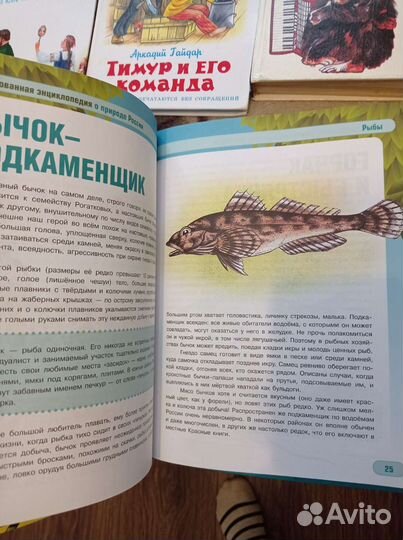 Книги пакетом для детей