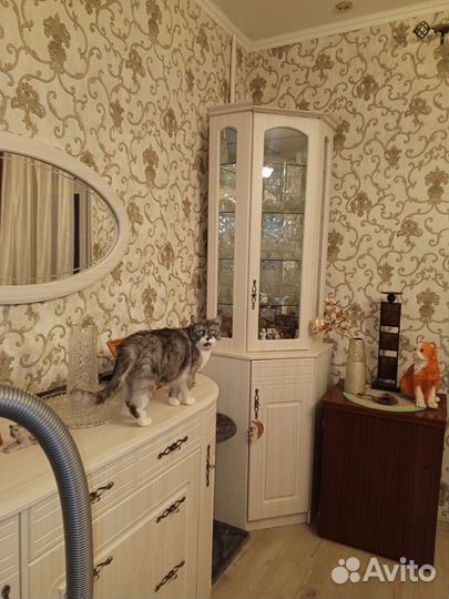 Сдам комнату без посредников