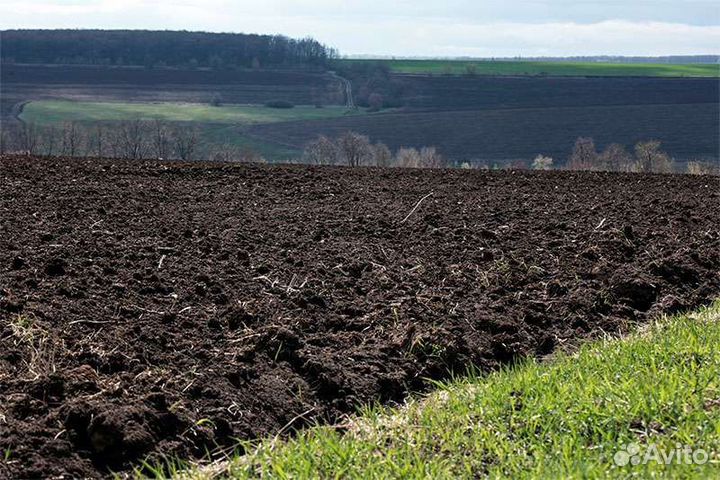 Доставка чернозема