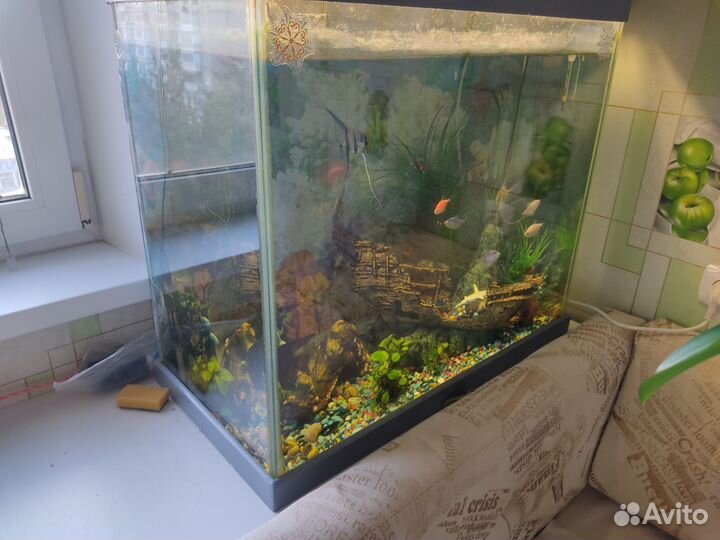 Аквариум на 150 литров