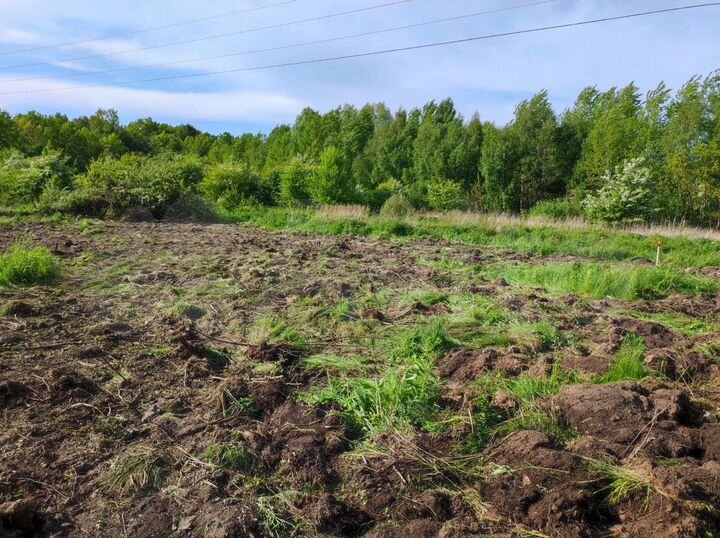 Участок 6 сот. (ИЖС)