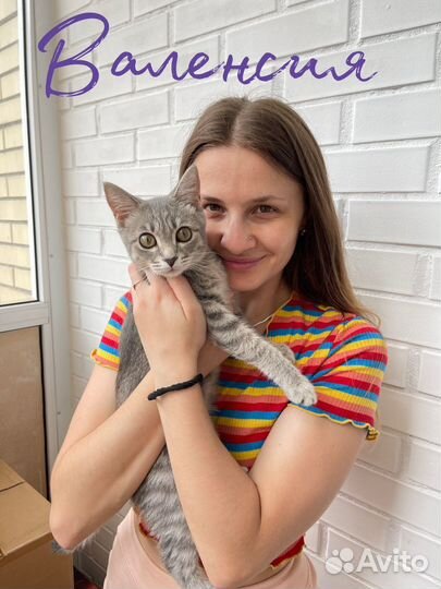 Зоогостиница для животных