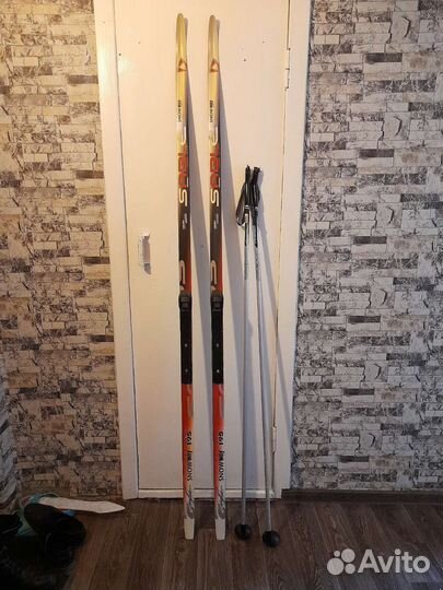 Беговые лыжи