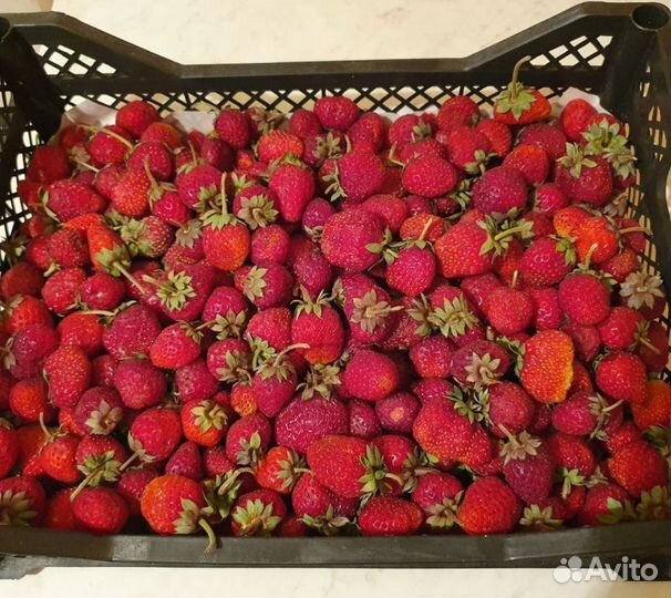 Клубника сладкая ящик 2кг с доставкой на дом