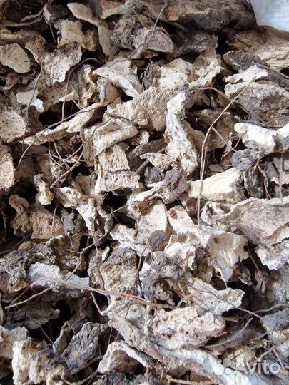 Адамов корень сушёный 500 гр