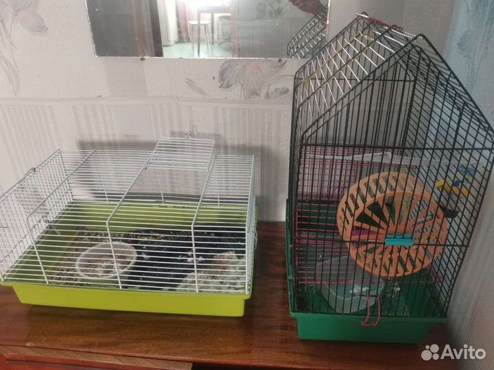 Клетка для грызунов бу