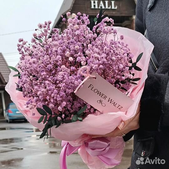 Комнатные растения цветы