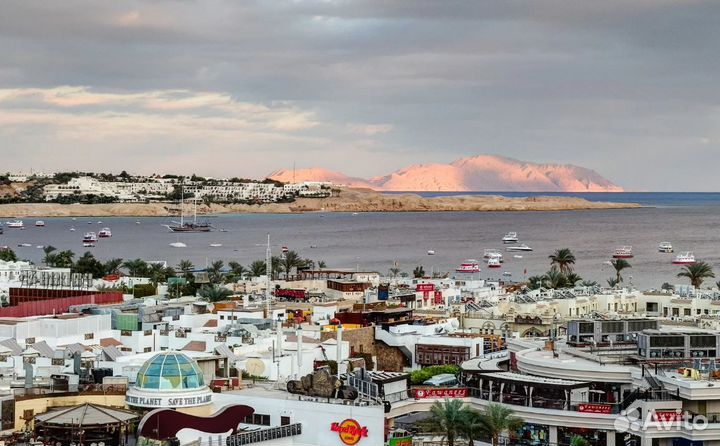 Путевка в Sharm El-Sheikh 7 дн
