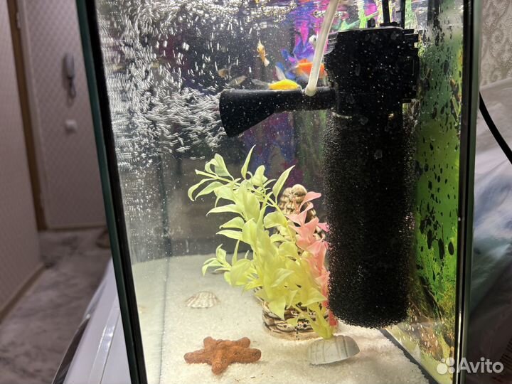 Аквариум с рыбками и фильтром