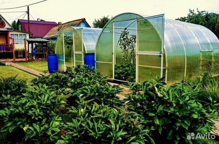 Теплица из поликарбоната