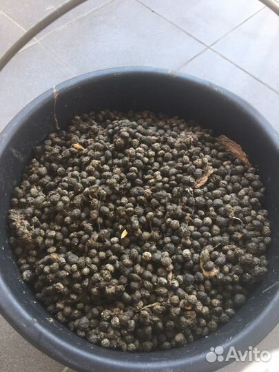 Кроличий помет